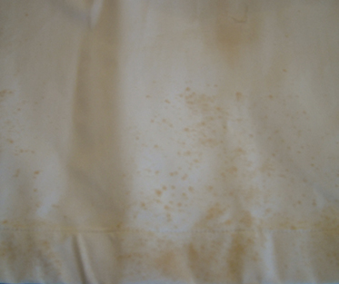 Curtain-Mould-Removal Brisbane
