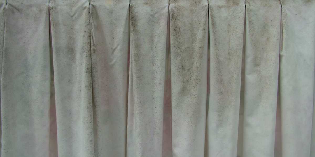 curtain mould removal